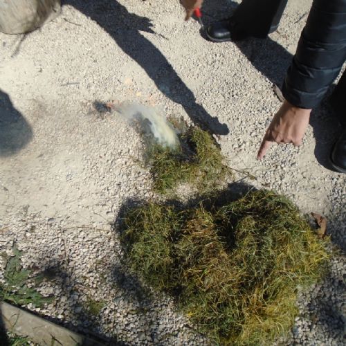 Stone Age Fires