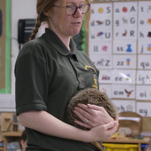 Exmoor Zoo photos